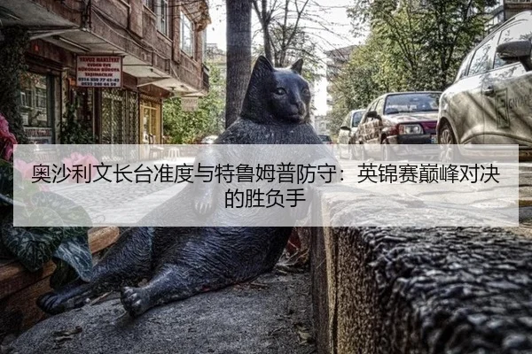 ao-sha-li-wen-zhang-tai-zhun-du-yu-te-lu-mu-pu-fang-shou-ying-jin-sai-dian-feng-dui-jue-de-sheng-fu-shou-3-837.jpg