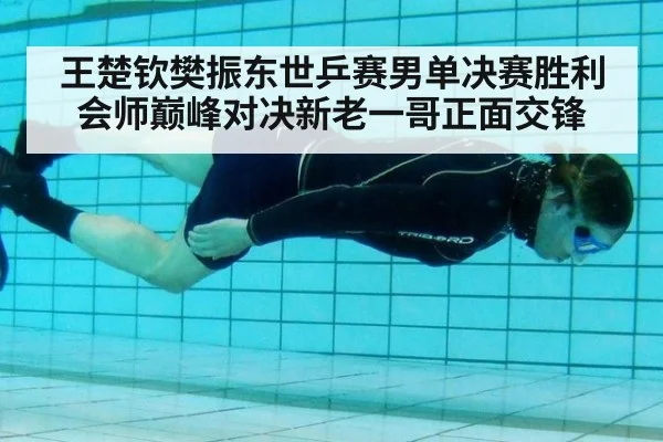 王楚钦樊振东世乒赛男单决赛胜利会师巅峰对决新老一哥正面交锋